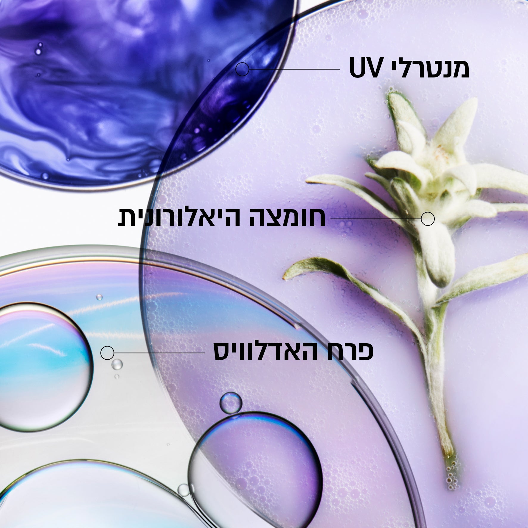 קרסטס